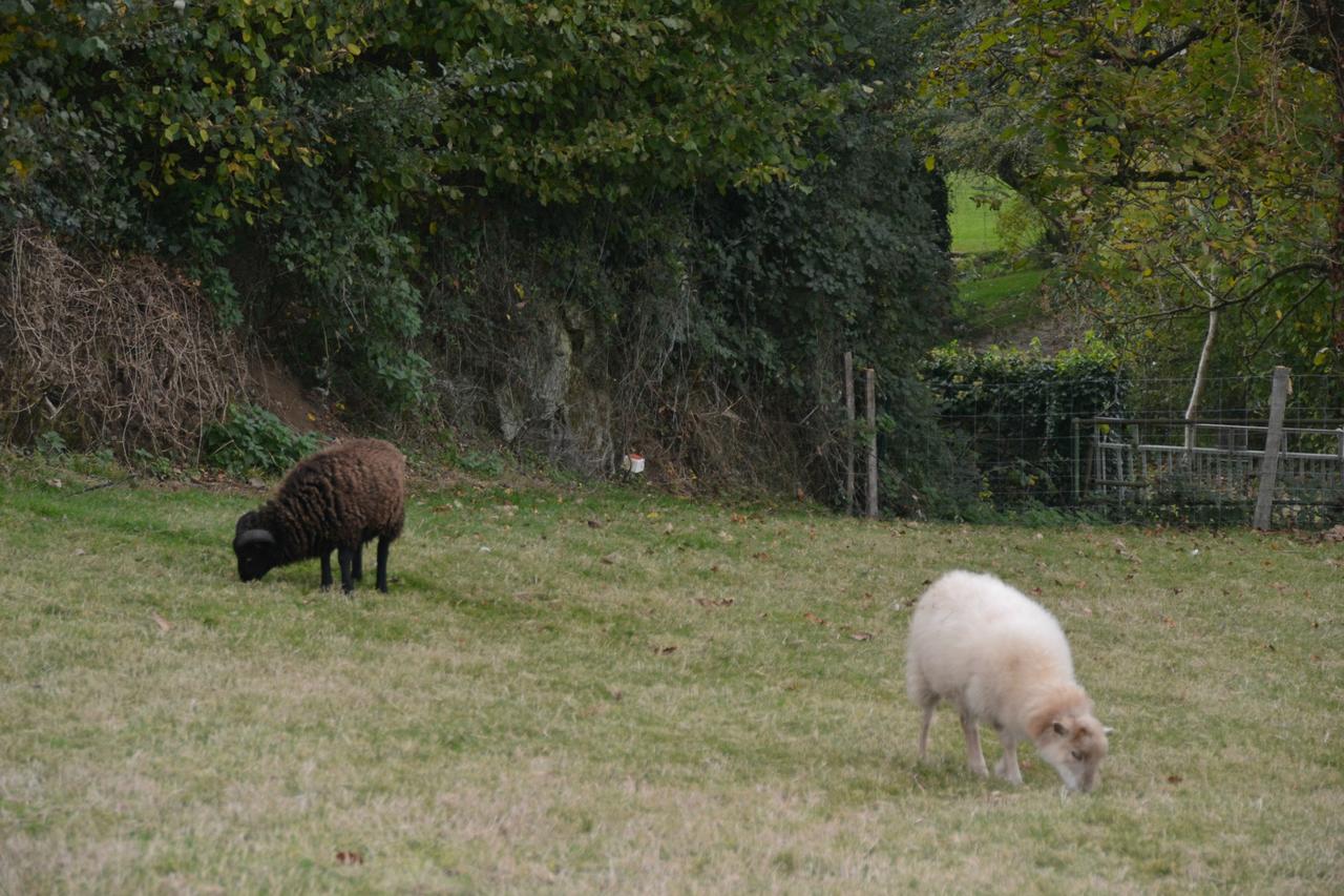 Maison De Vacances Chateaumur Eksteriør bilde